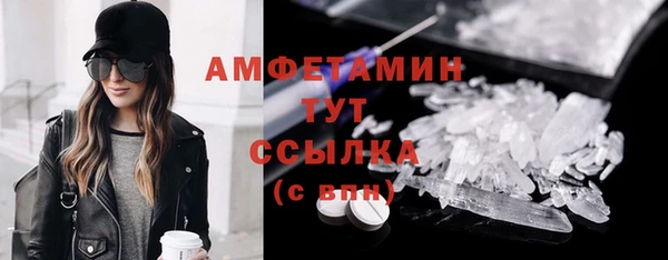 гидра Алексеевка