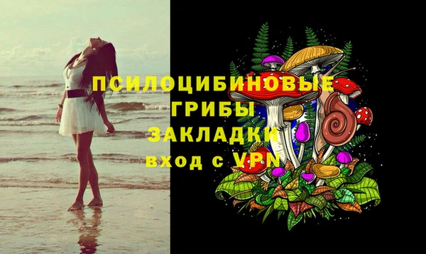 спиды Алзамай