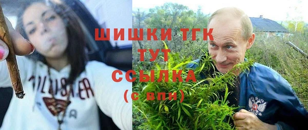 гидра Алексин