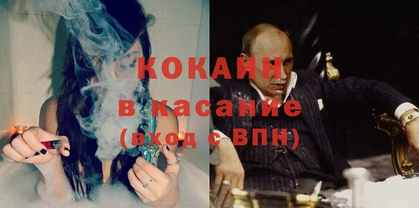 гидра Алексин
