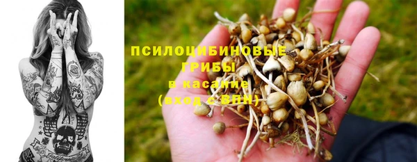 спиды Алзамай