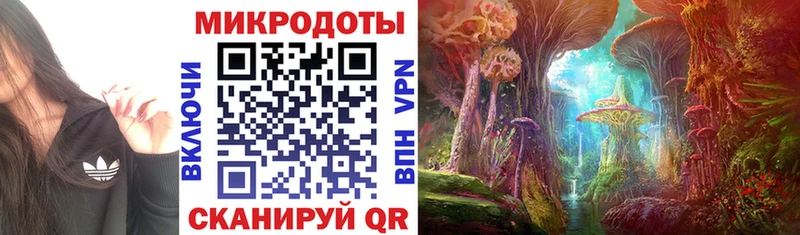 это какой сайт  Киржач  Галлюциногенные грибы MAGIC MUSHROOMS 
